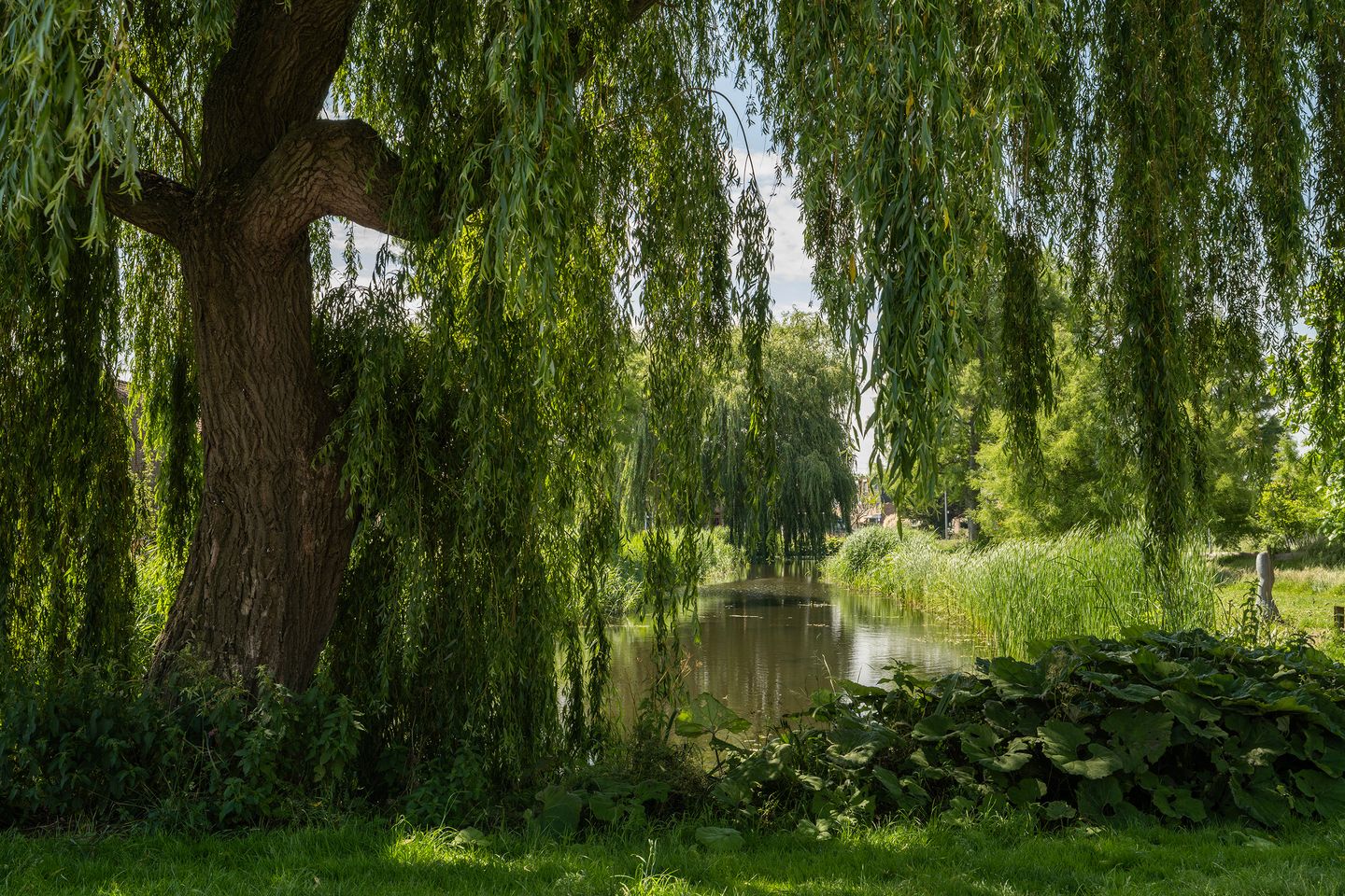 Foto 44 van Ooievaarslaan 1