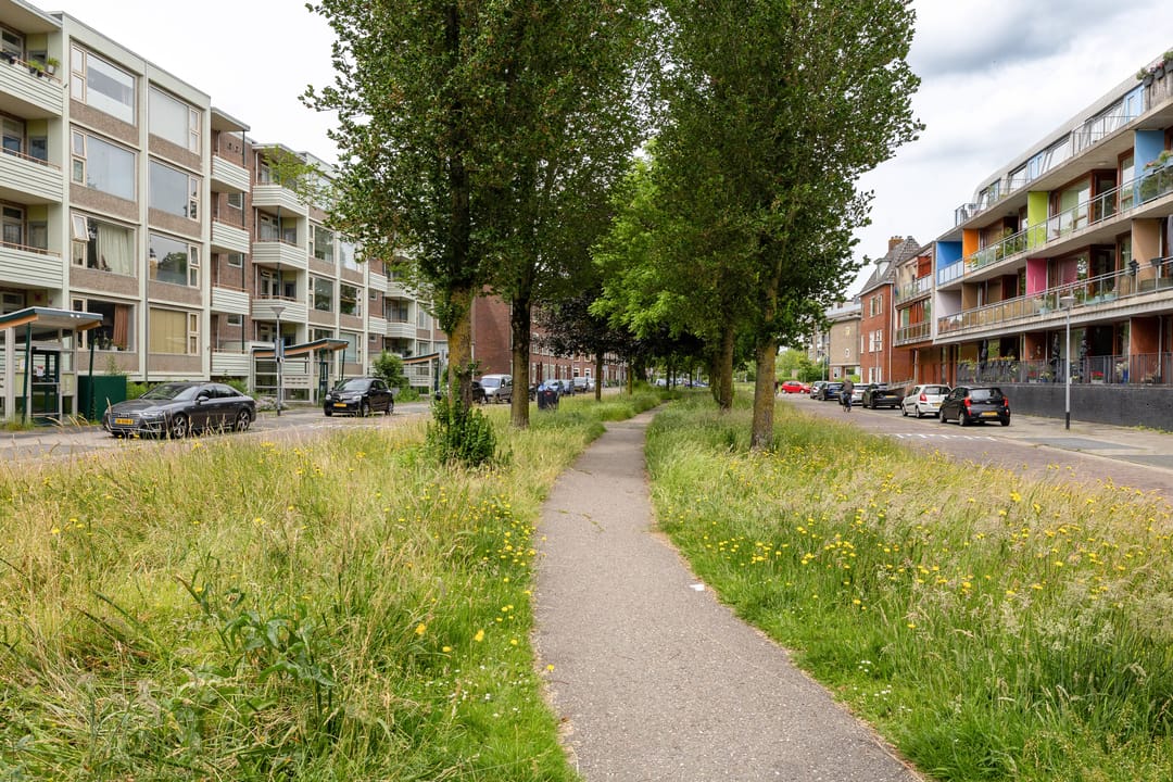 Foto 41 van Rembrandt van Rijnstraat 45