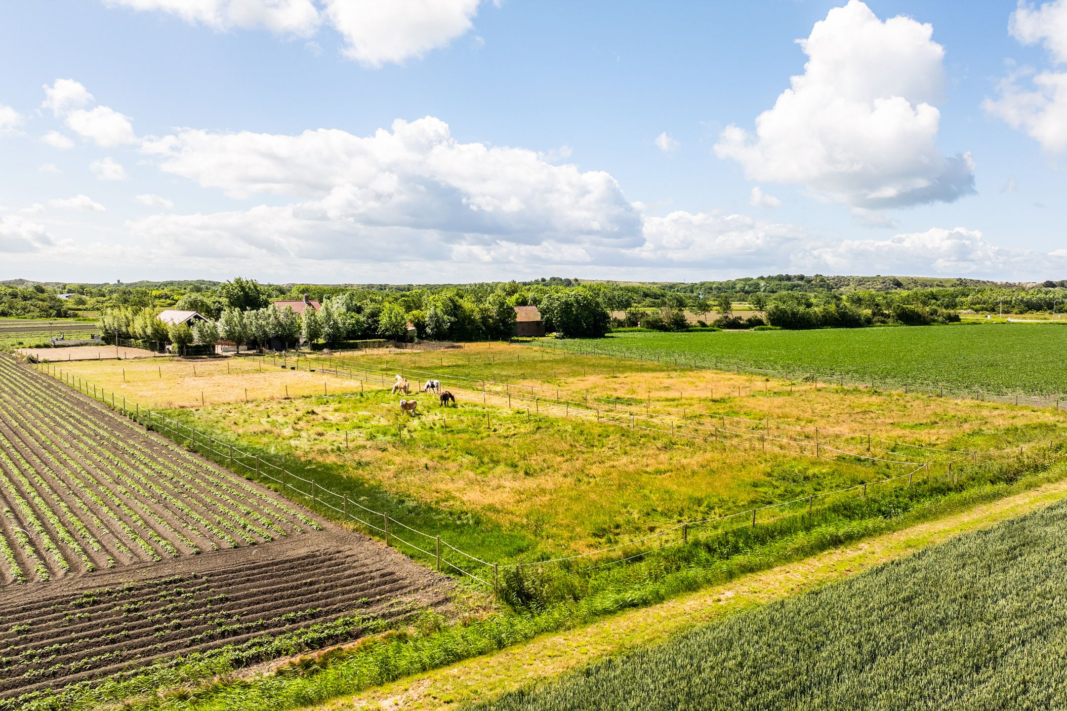 Photo 66 of Paulusweg 24