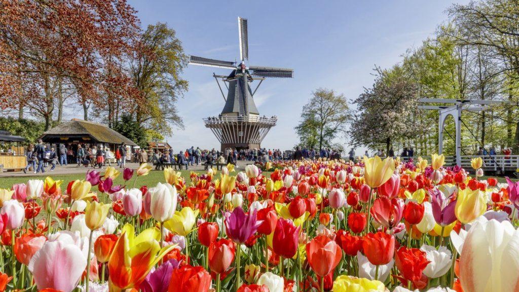 Foto 42 van De Witte Raaflaan 23