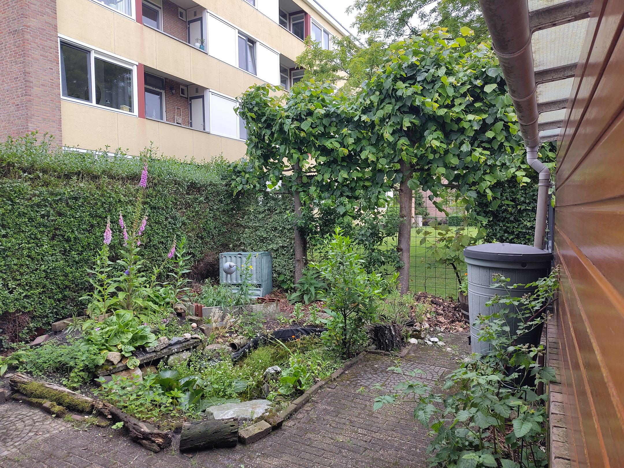 Foto 48 van Professor Schrijnenstraat 12