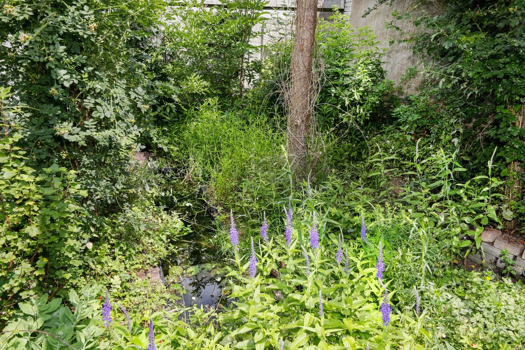 Photo 53 of Maastrichtseweg 90