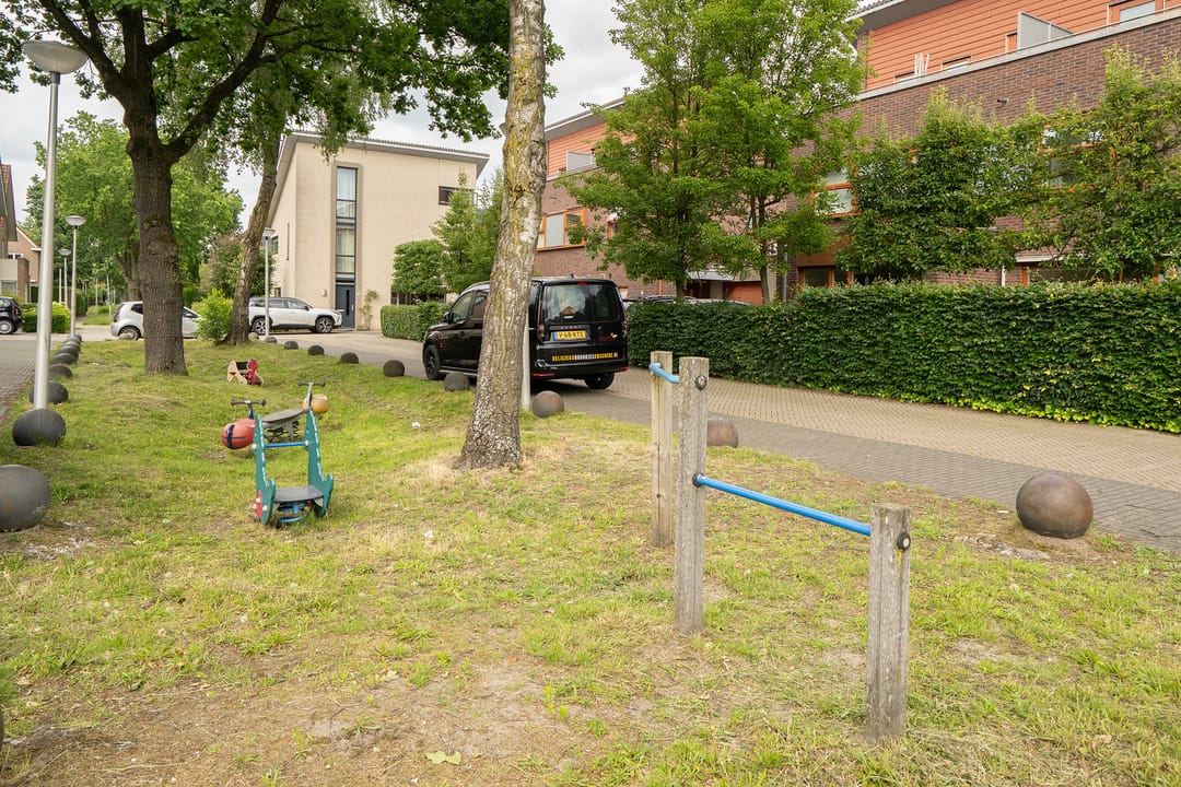 Foto 41 van Eikebladvlinder 7