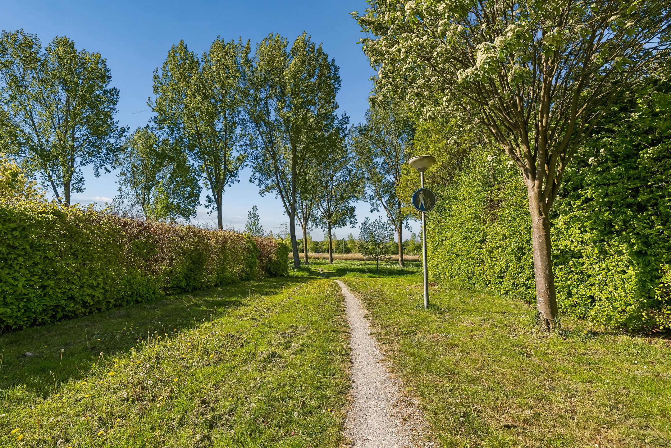 Photo 66 of Leguaanstraat 6