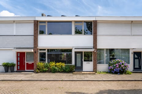 Palissanderstraat thumbnail
