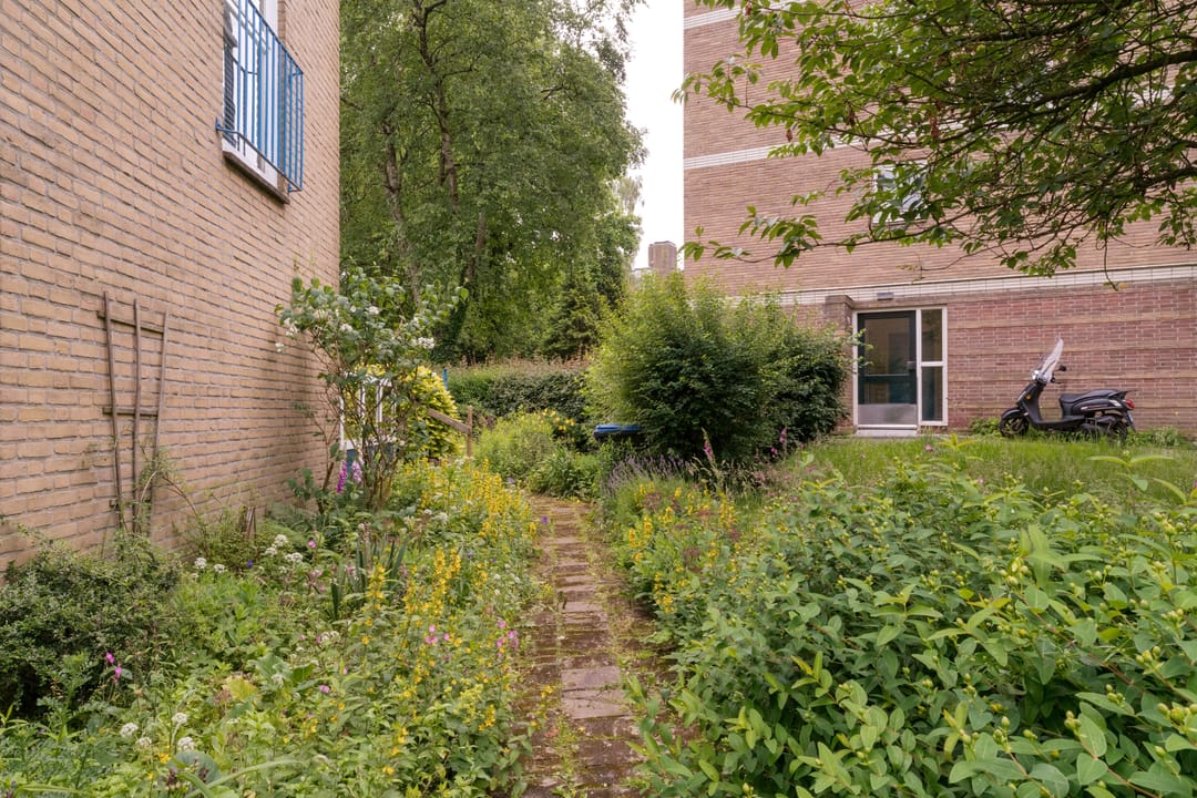 Photo 13 of Havikstraat 7