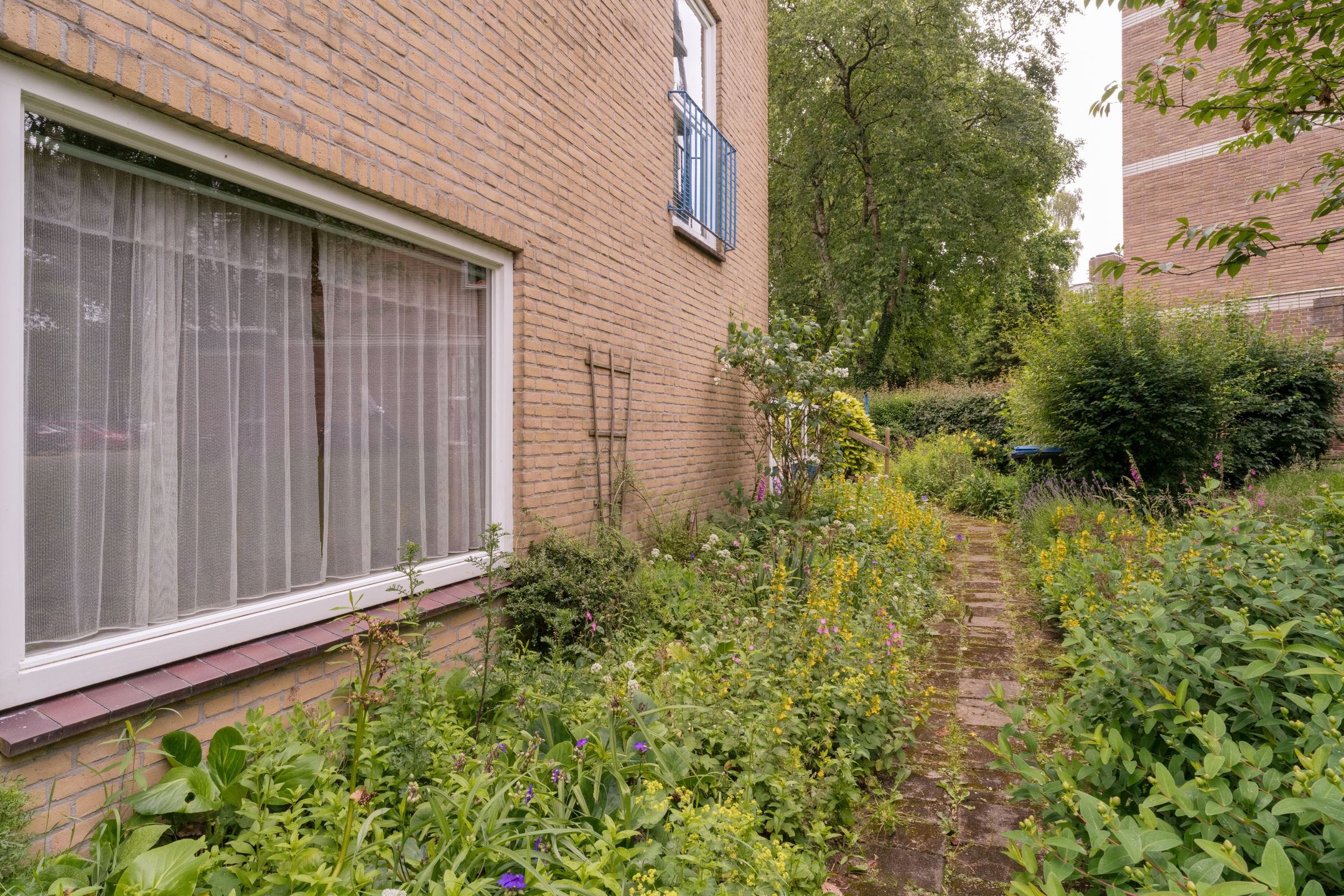 Photo 12 of Havikstraat 7