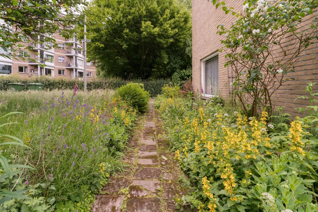 Photo 11 of Havikstraat 7