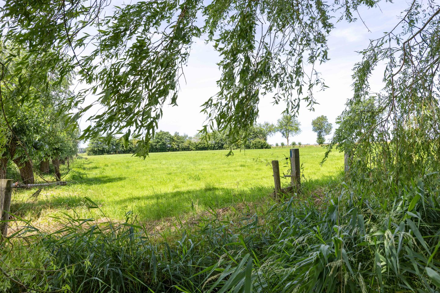 Foto 100 van Meenteweg 6