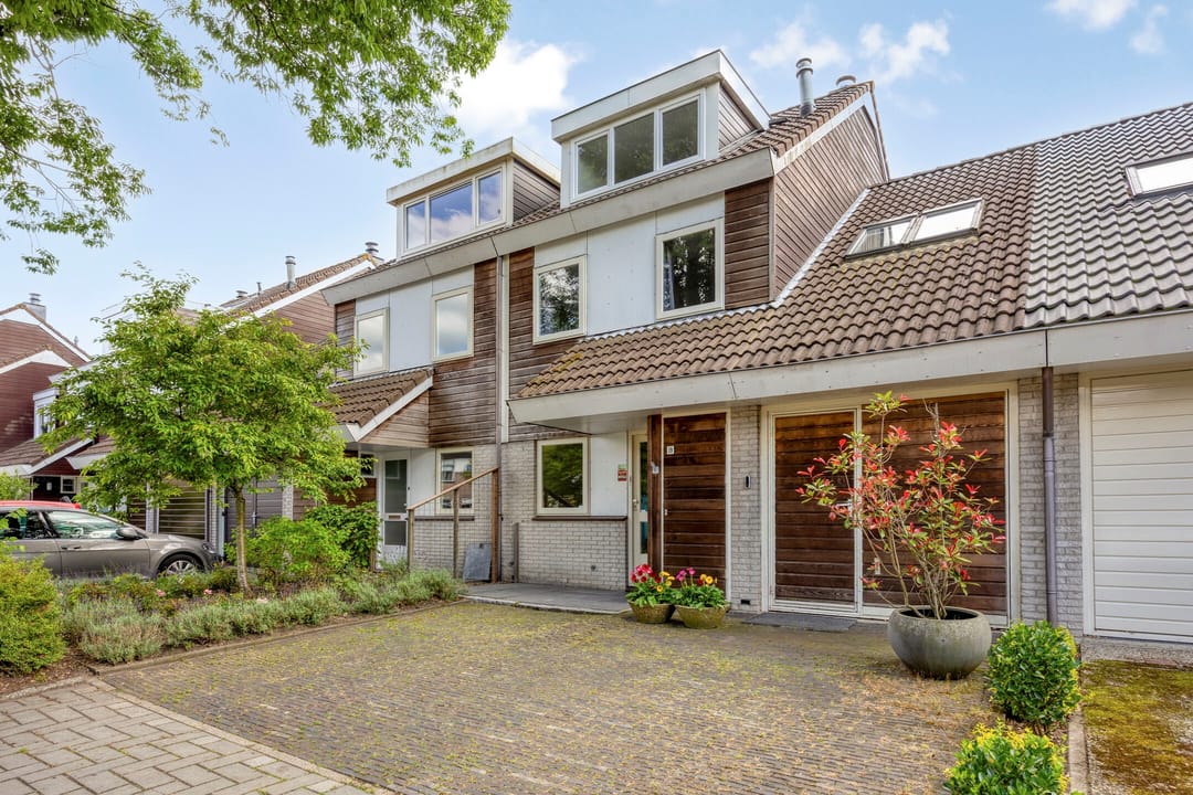 Photo 37 of Chirurgijn 19
