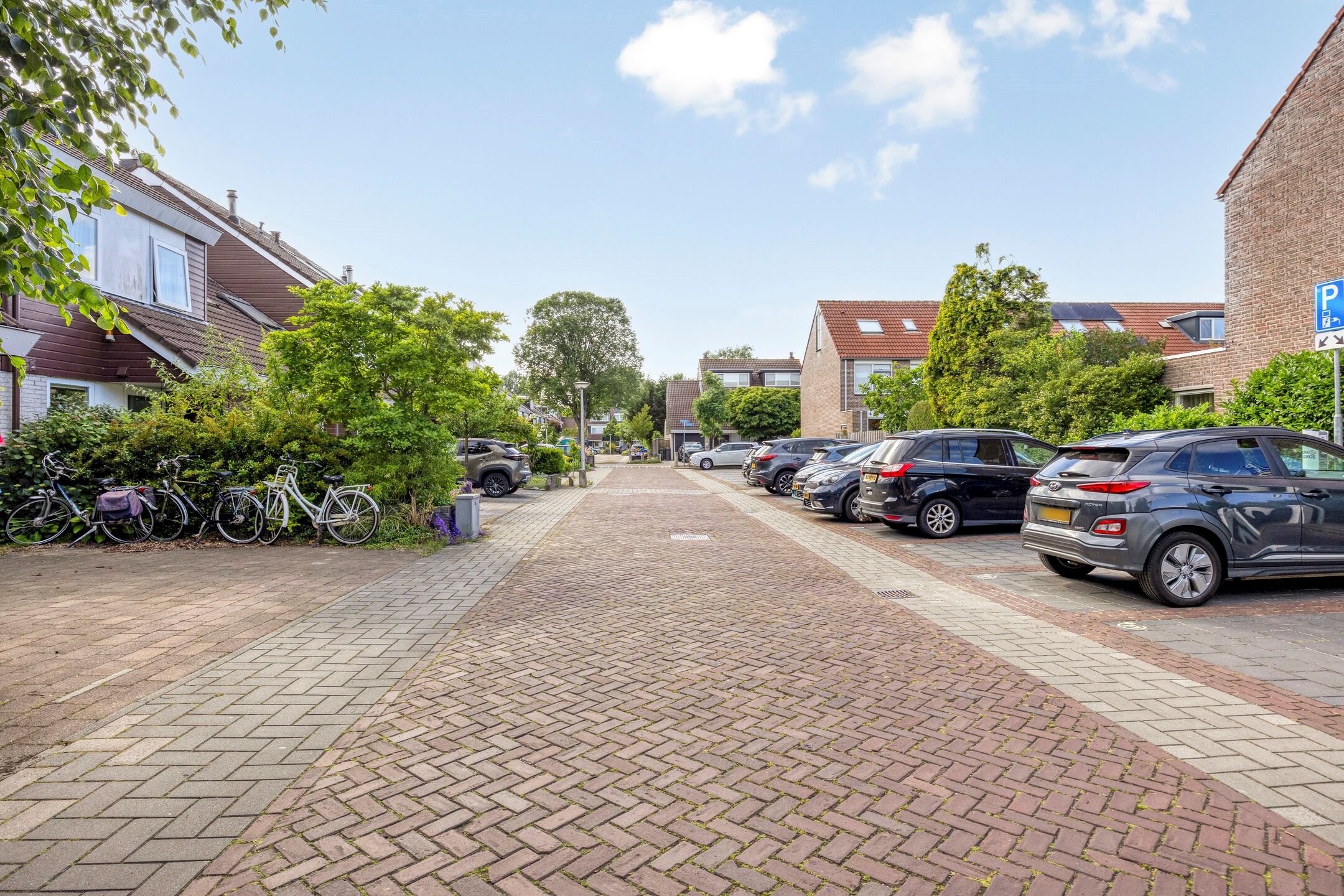 Photo 39 of Chirurgijn 19