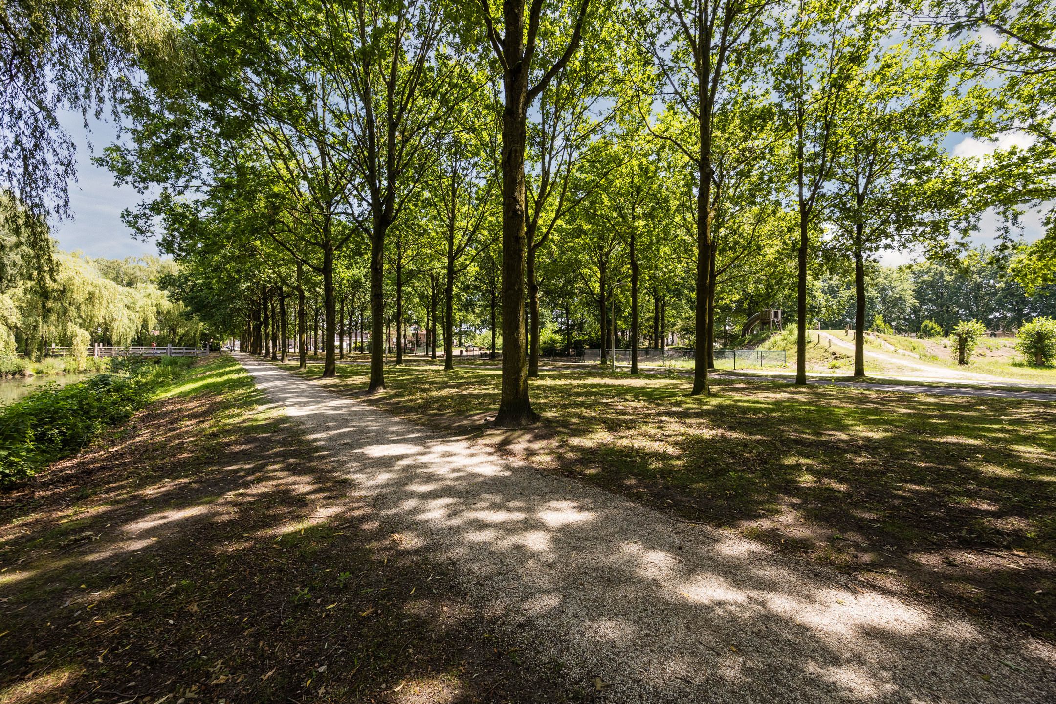 Photo 42 of Groenlostraat 14