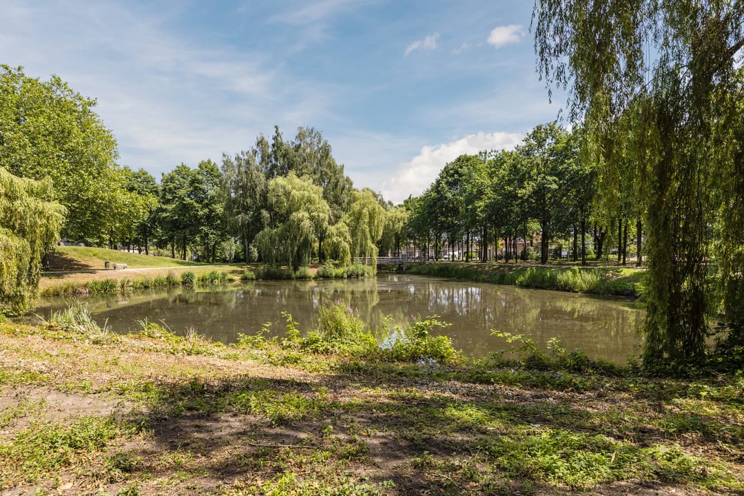 Photo 41 of Groenlostraat 14