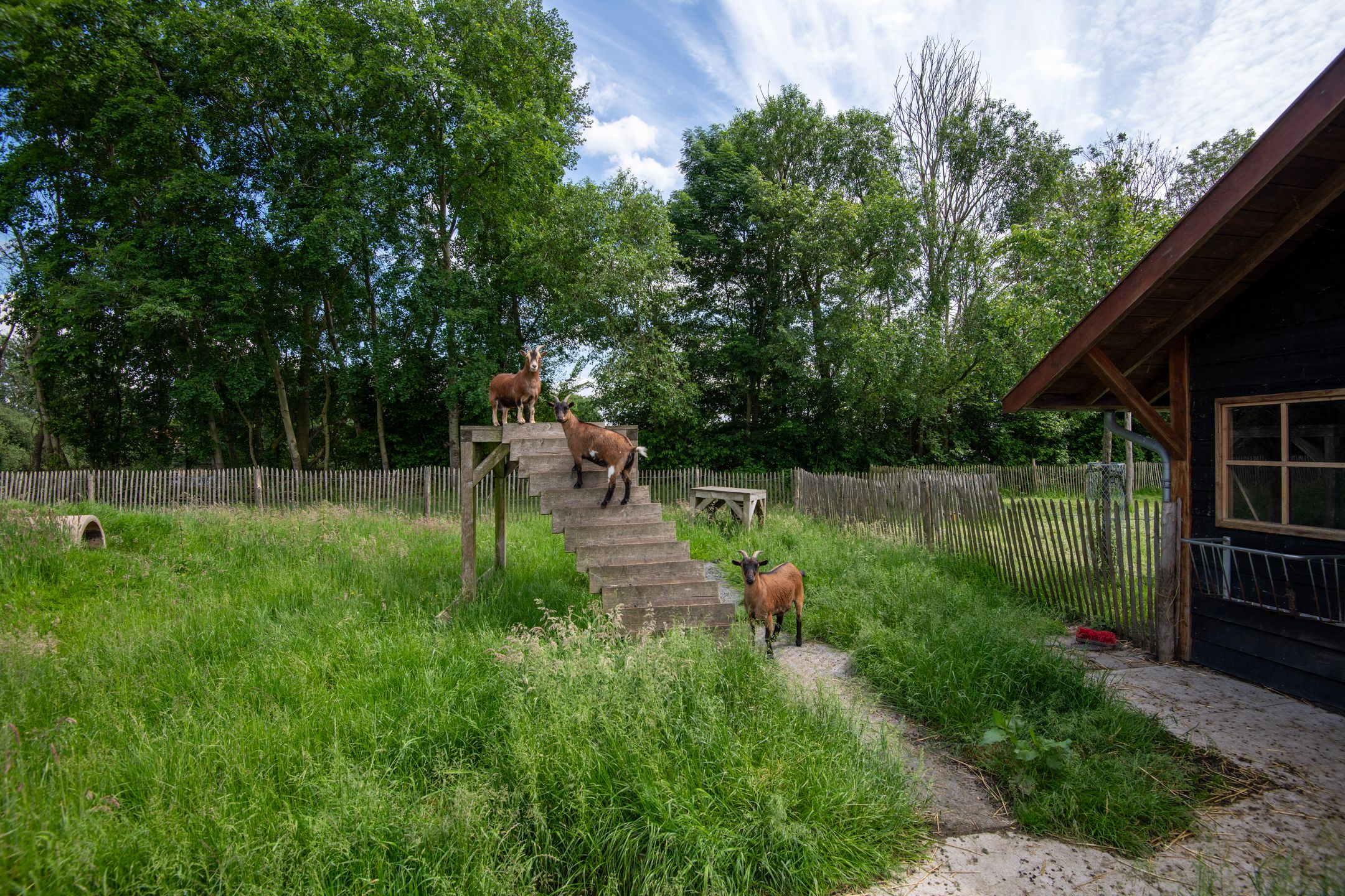 Photo 66 of Vinkelaar 9