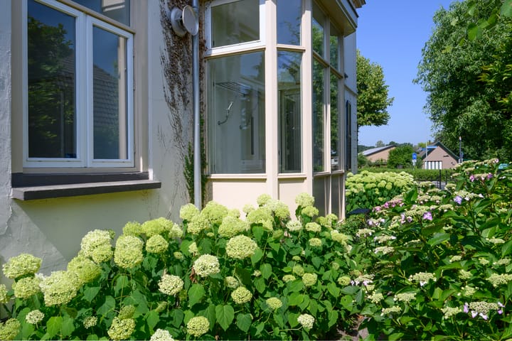 Vrijstaande woning te koop: Arnhemsestraat 81, Leuvenheim