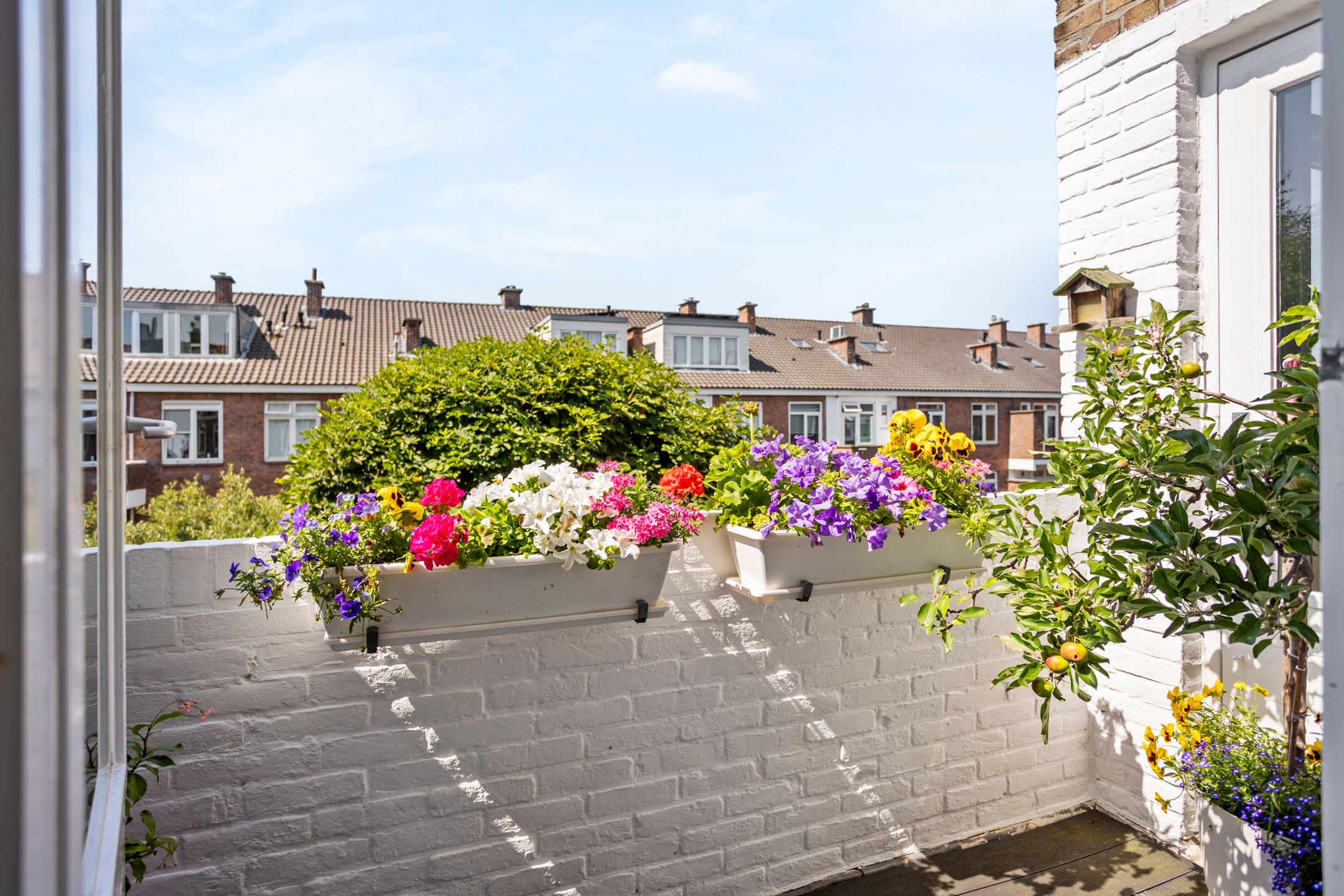Photo 18 of Thierenskade 96