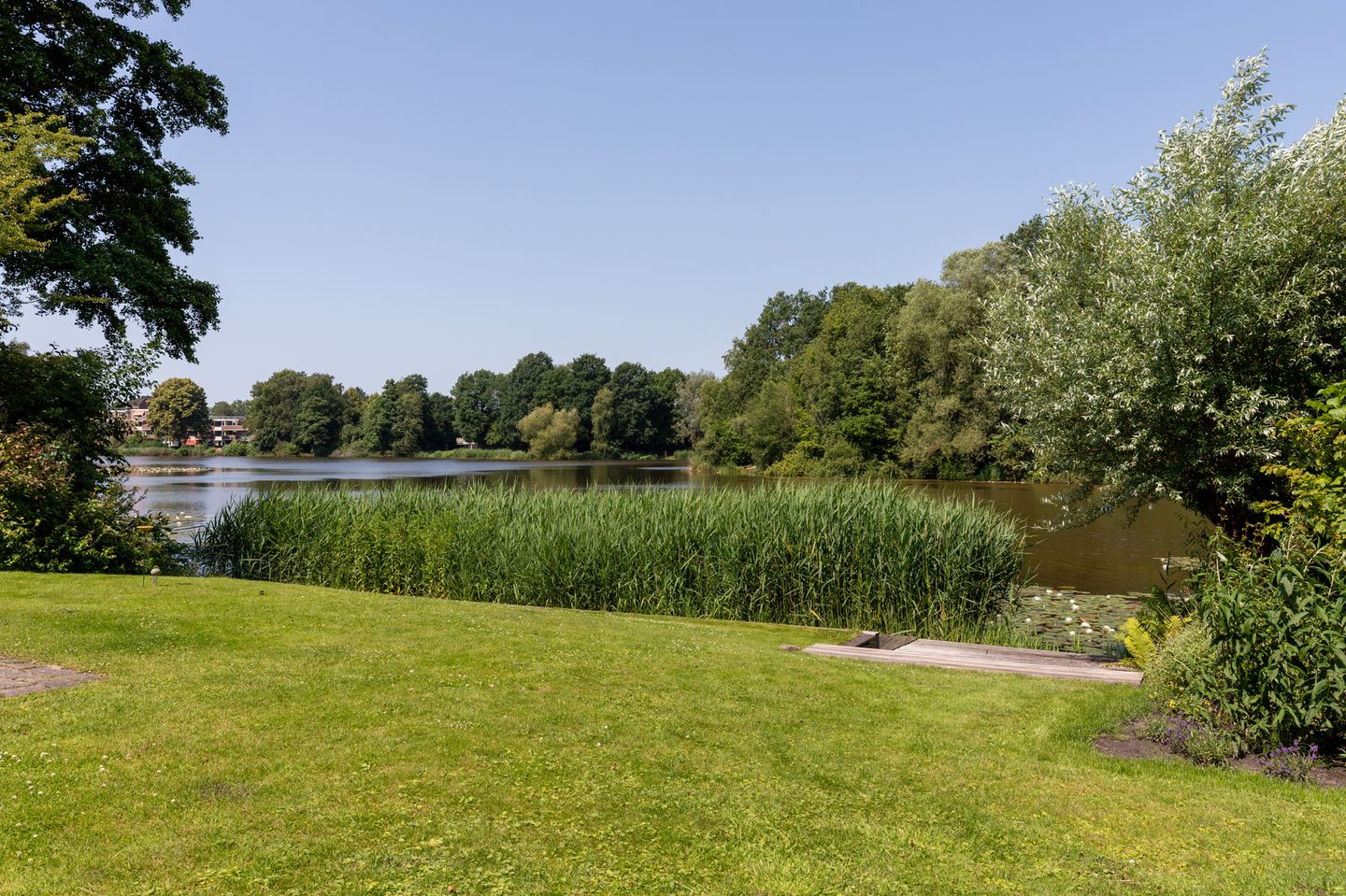 Photo 55 of Nieuwe Gagels 35