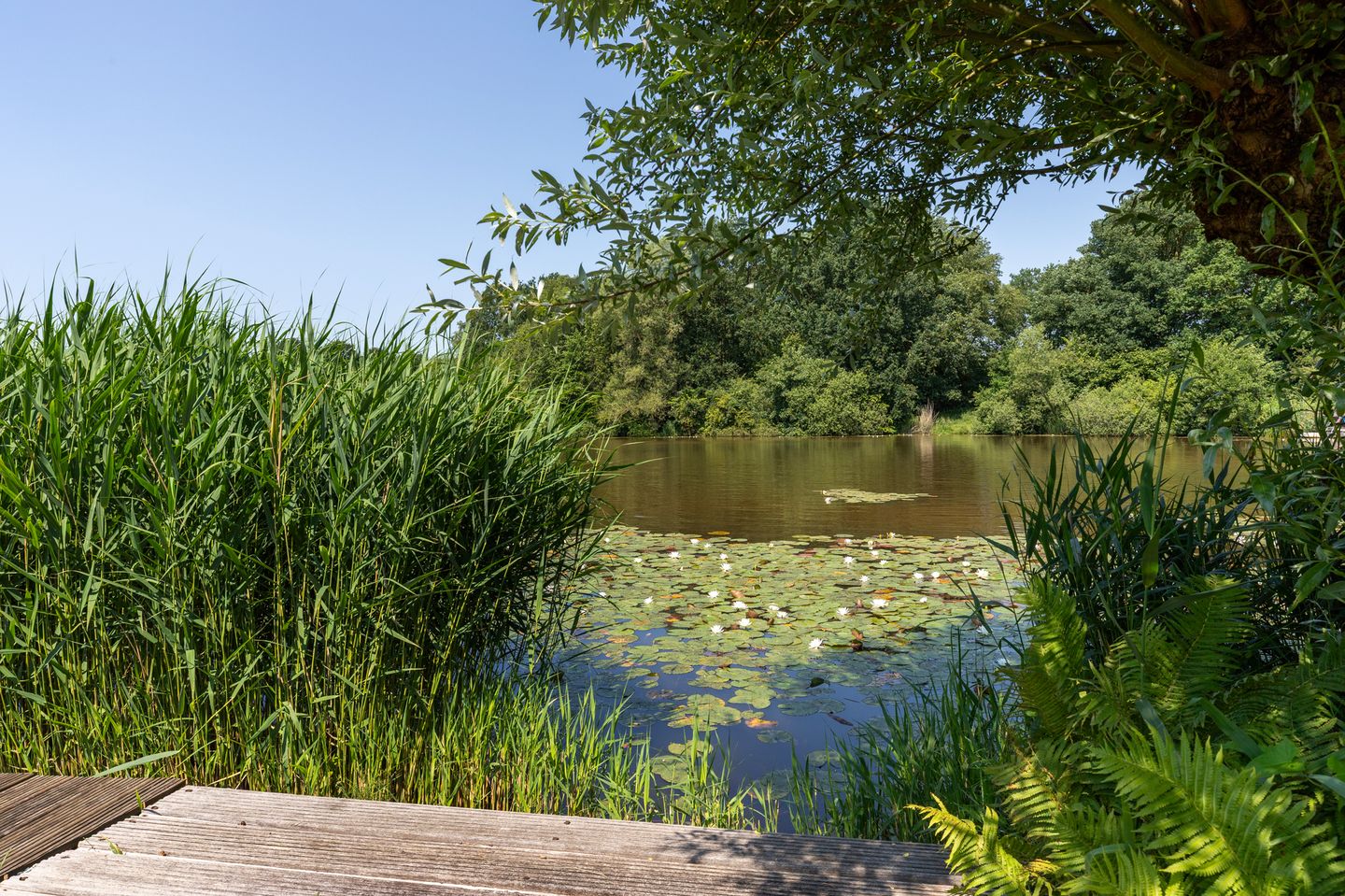 Photo 5 of Nieuwe Gagels 35