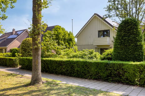 Vondellaan thumbnail