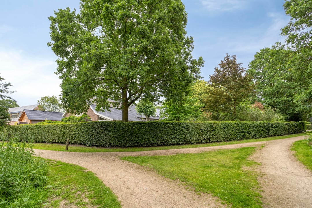 Photo 82 of Diederikstraat 63