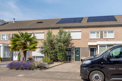 Kralingenstraat thumbnail