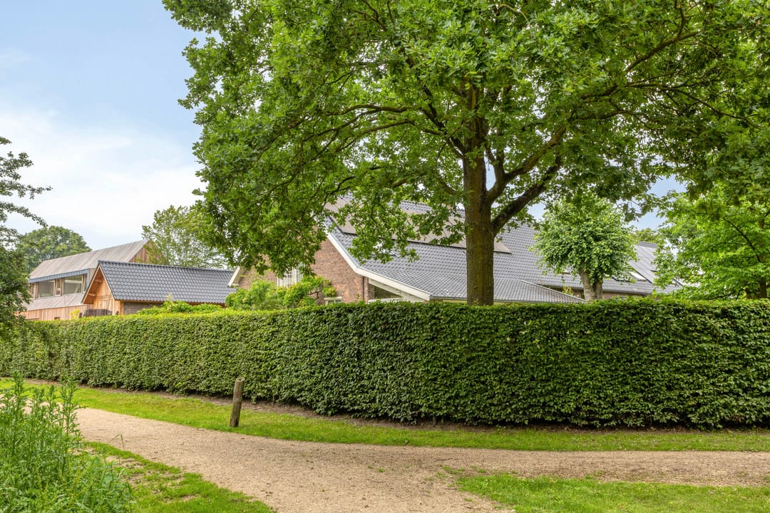 Photo 83 of Diederikstraat 63