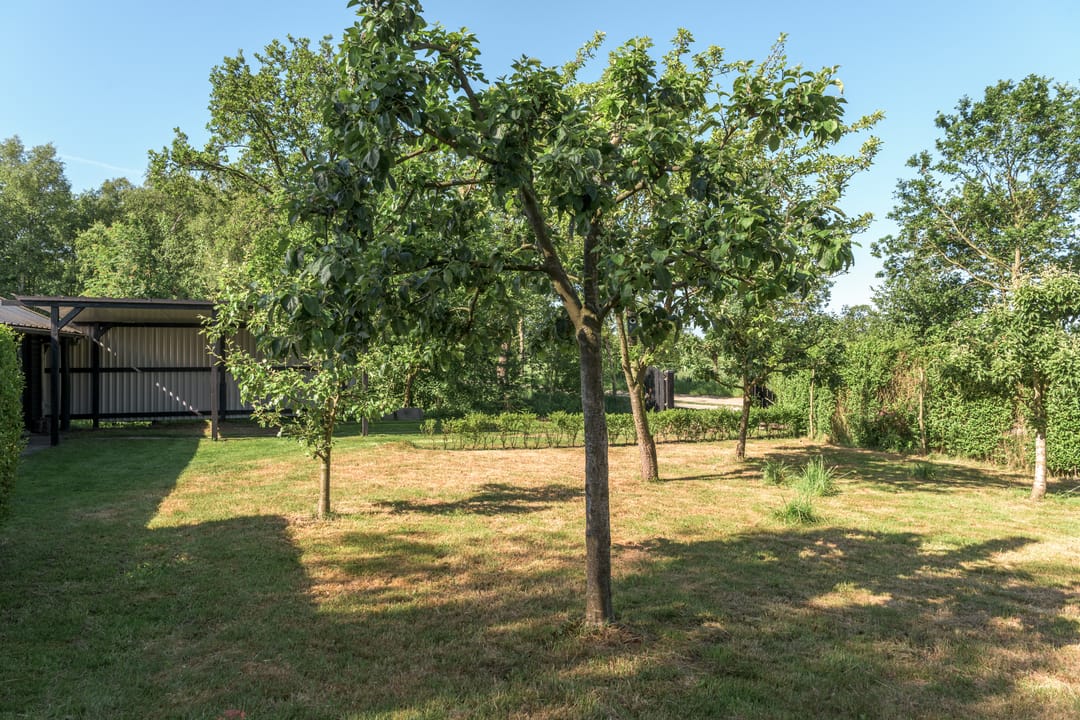 Foto 43 van Mûntsegroppe 6