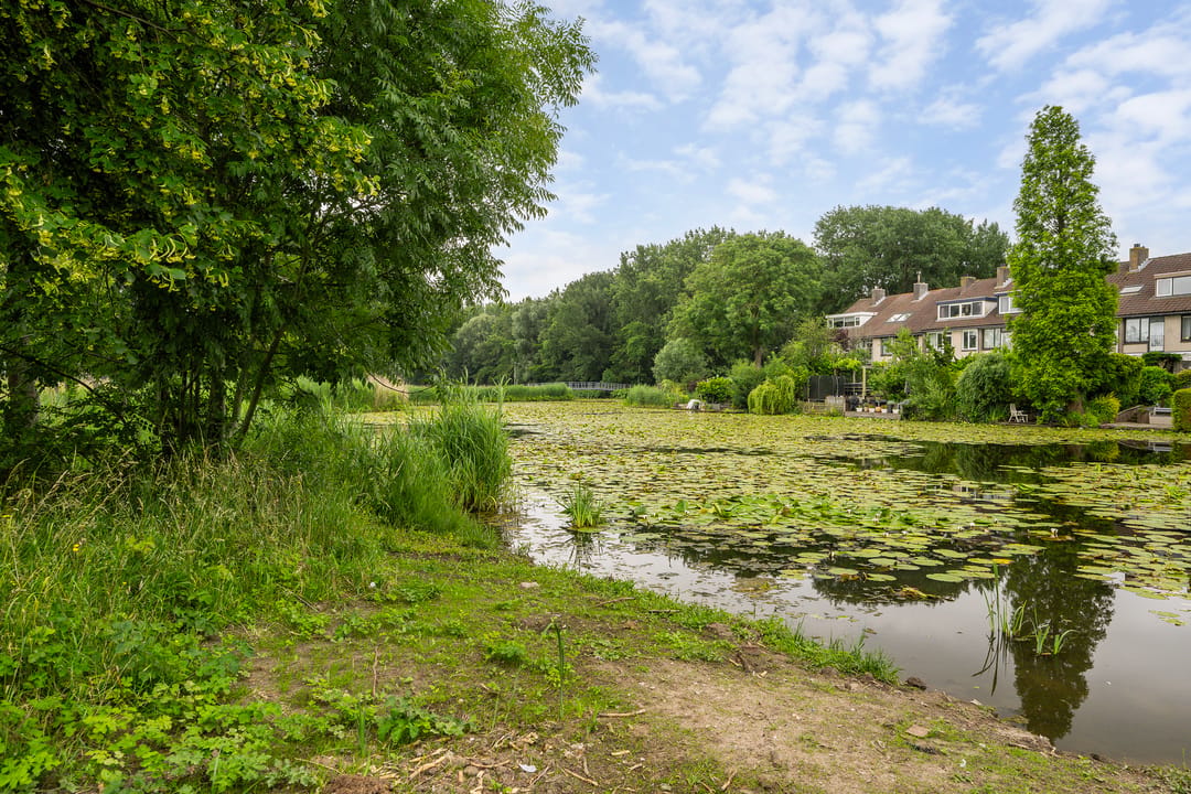 Photo 31 of Ringvaart 31