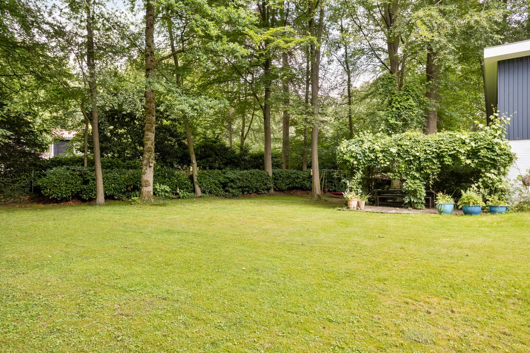 Photo 8 of Bosweg 16