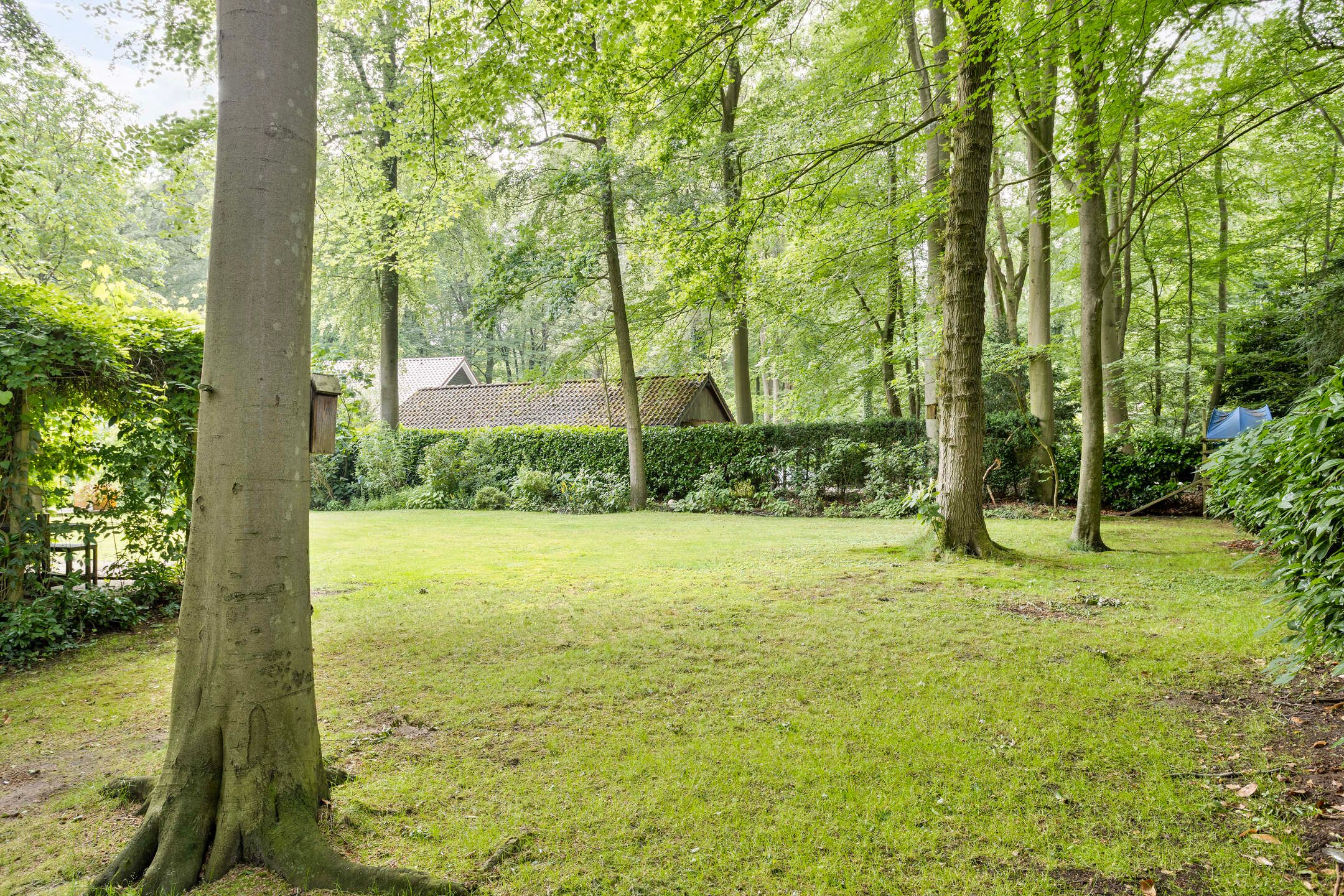 Photo 9 of Bosweg 16