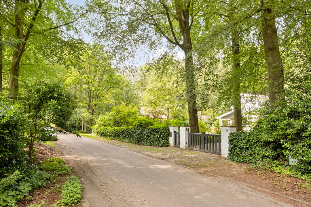 Photo 62 of Bosweg 16