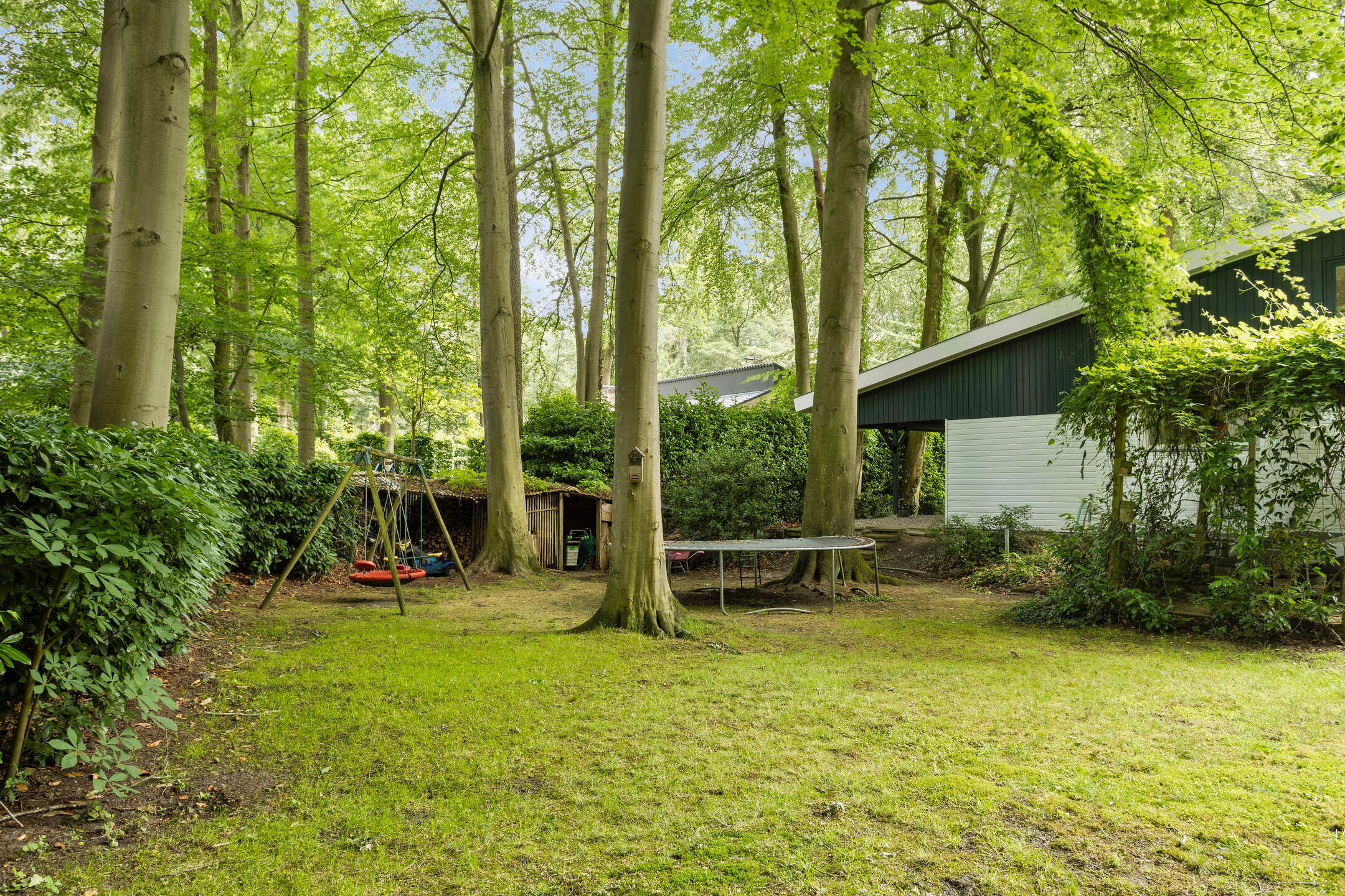 Photo 33 of Bosweg 16