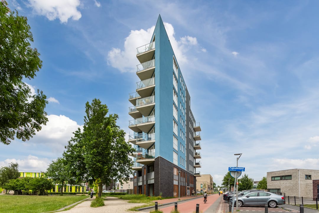 Photo 41 of Pygmalionstraat 146