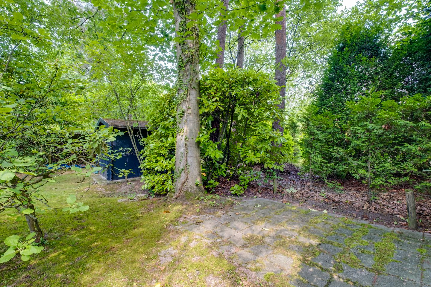 Photo 55 of Köllinglaan 6
