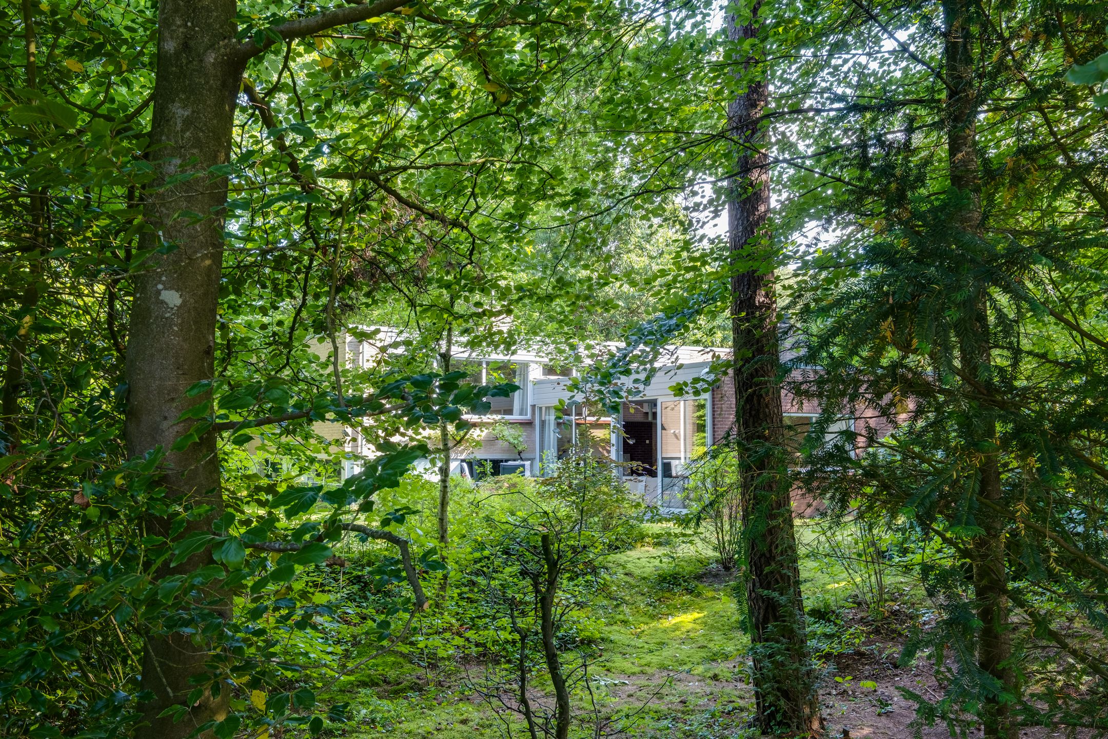 Photo 51 of Köllinglaan 6