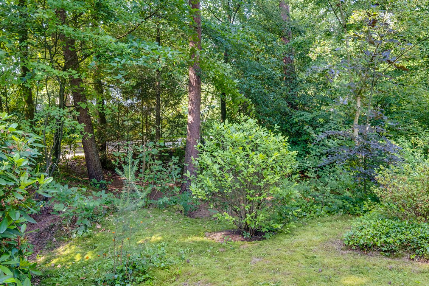 Photo 49 of Köllinglaan 6