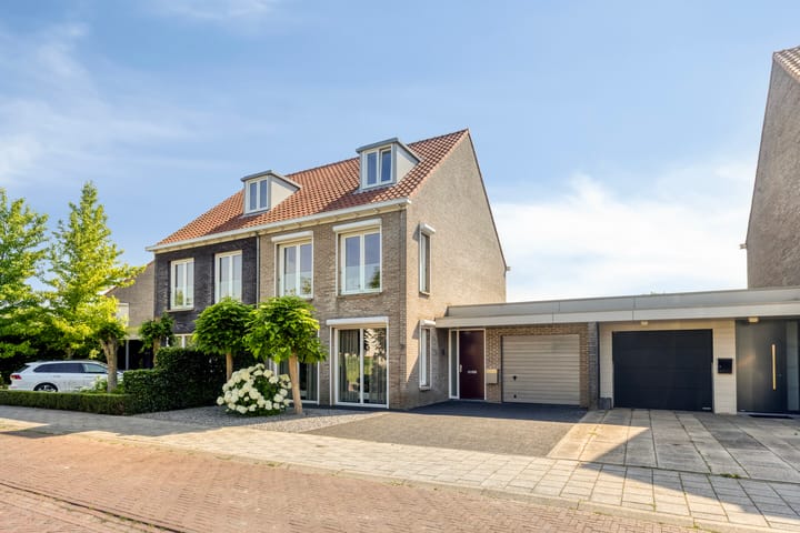 Alexander de Grotestraat 17