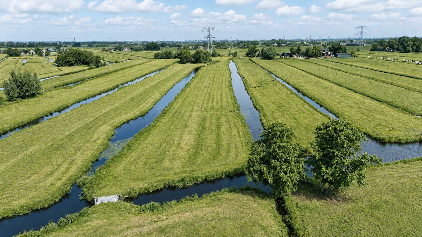 Photo 25 of Bosweg 17