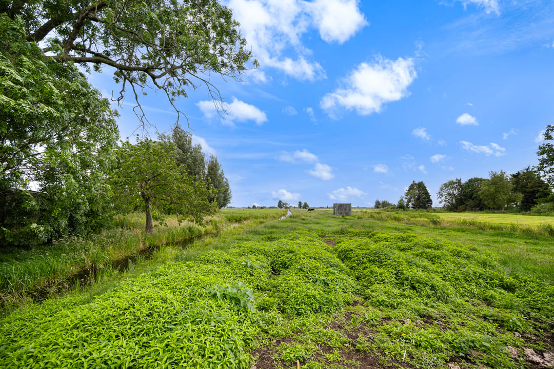 Photo 11 of Bosweg 17