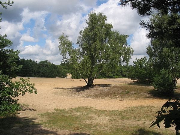 Photo 4 of Van Erven Dorenspark 33