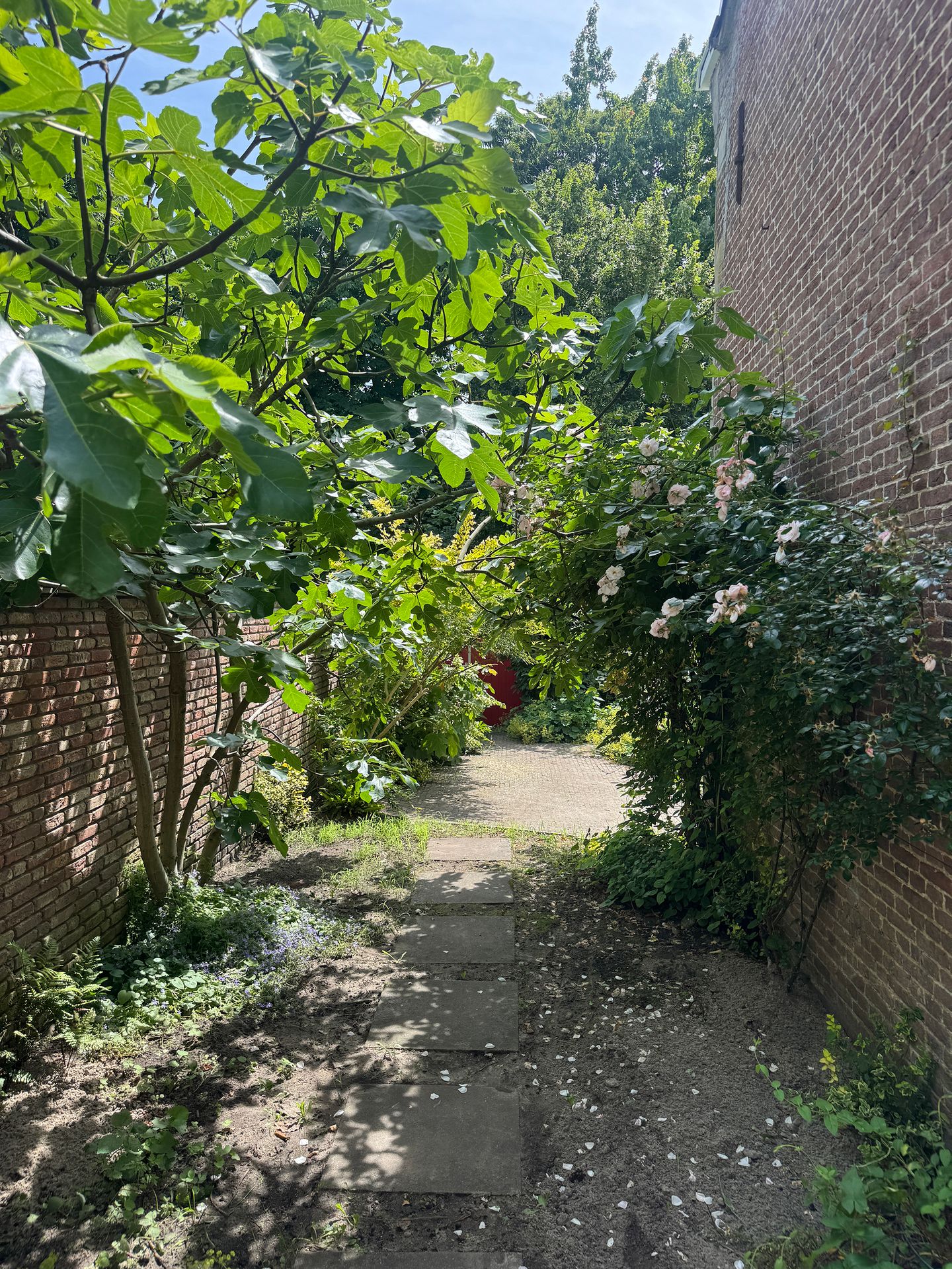 Photo 89 of Koestraat 22