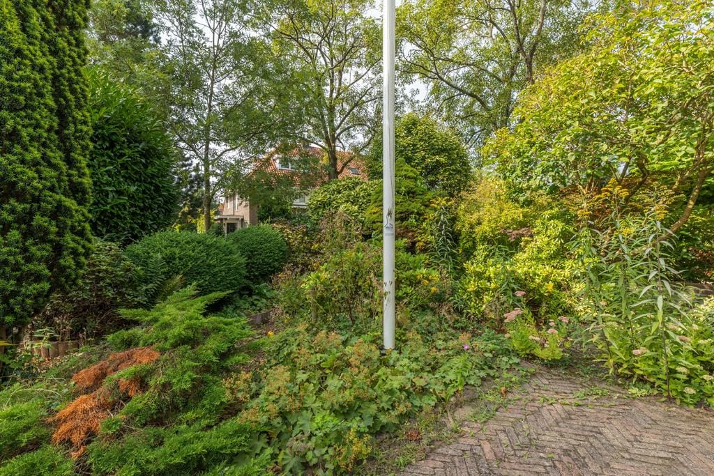 Foto 59 van Graaf Willem de Oudelaan 37