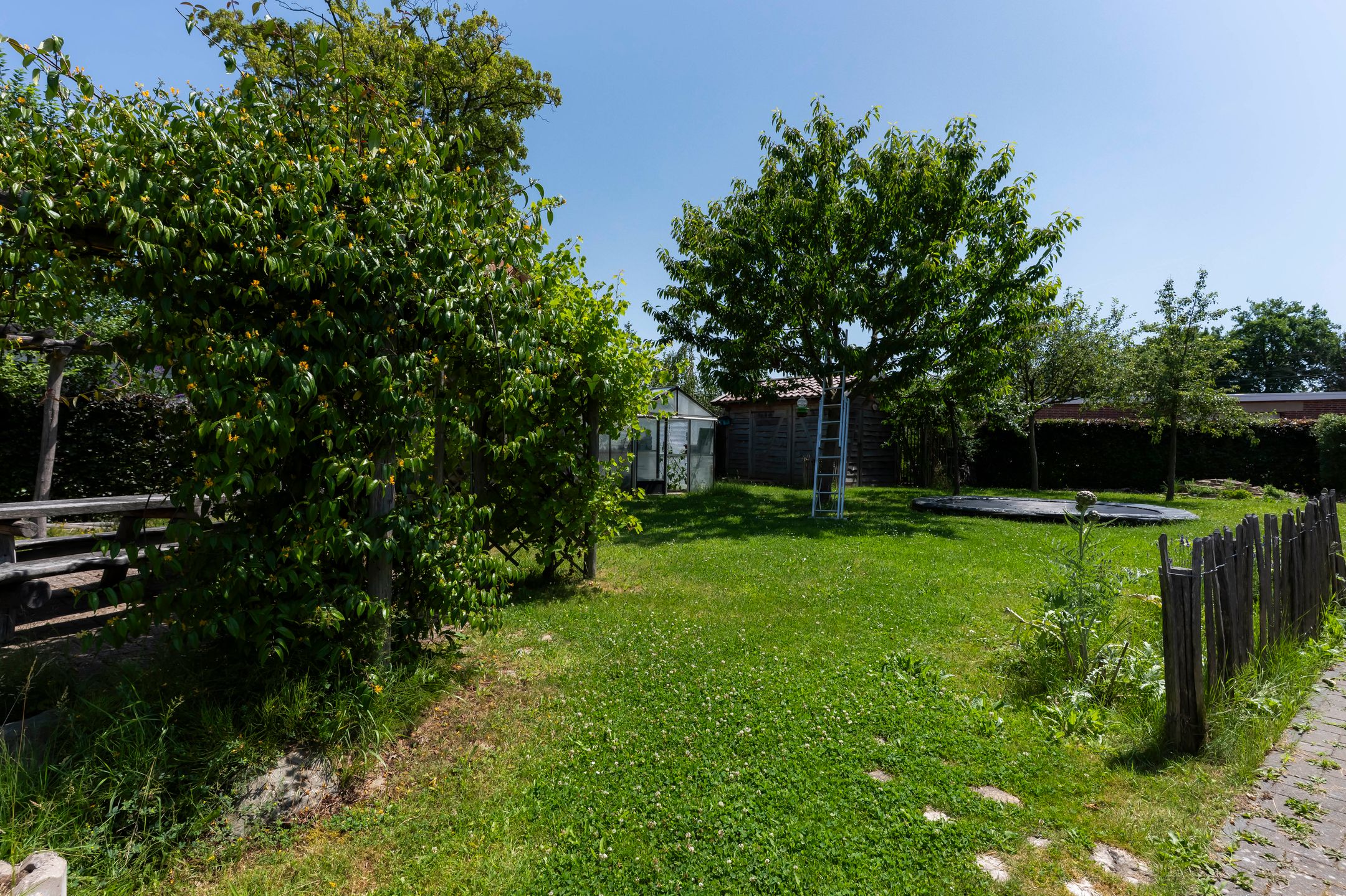 Photo 36 of Kloosterkoolhof 10