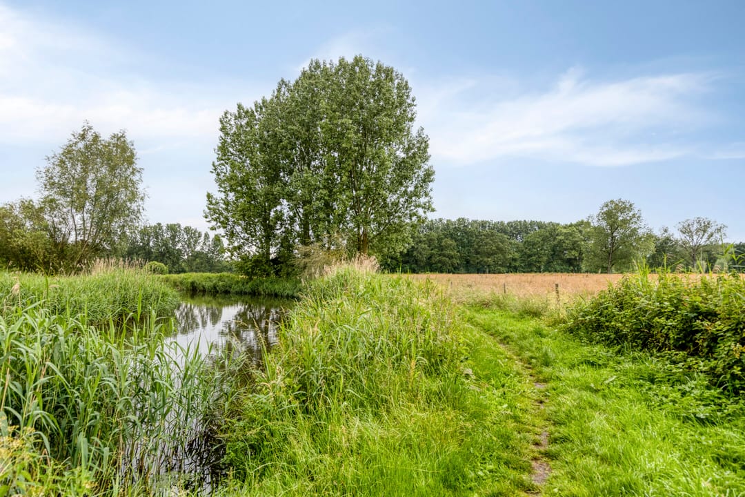 Photo 56 of Italiëlaan 123
