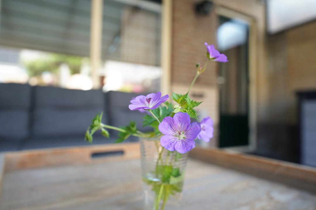 Photo 17 of Buizerdstraat 7