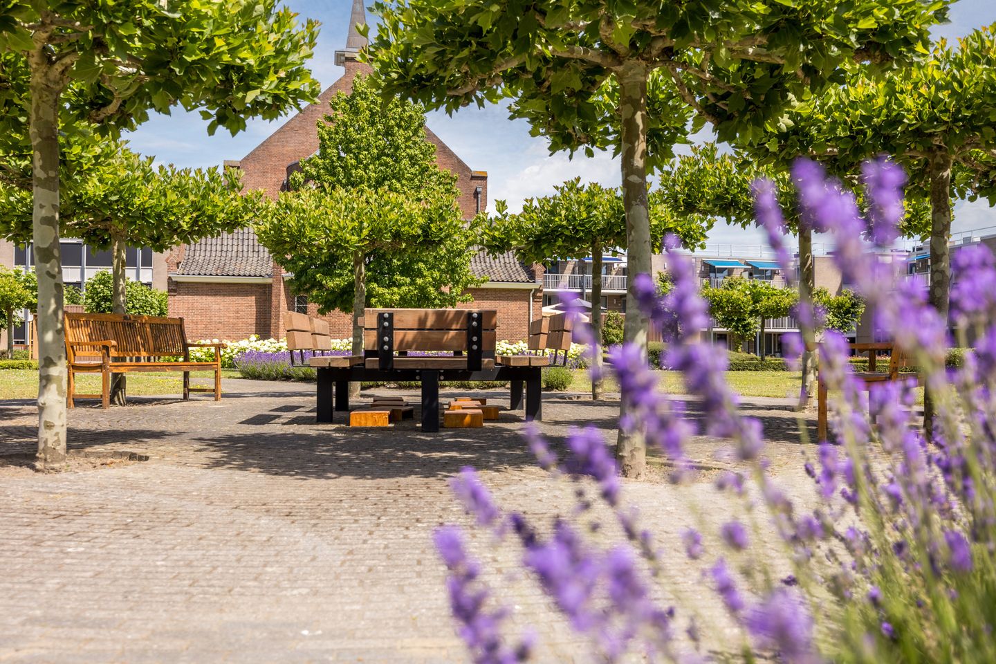 Photo 50 of Molenweide 2