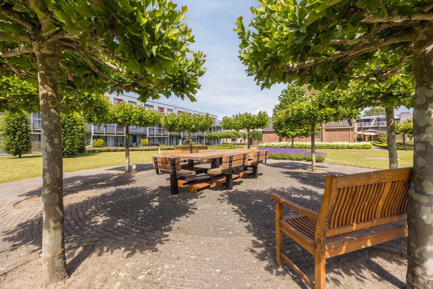 Photo 49 of Molenweide 2