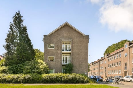 Carel van Nieveltstraat thumbnail