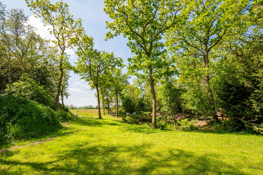 Photo 47 of Buerweg 69