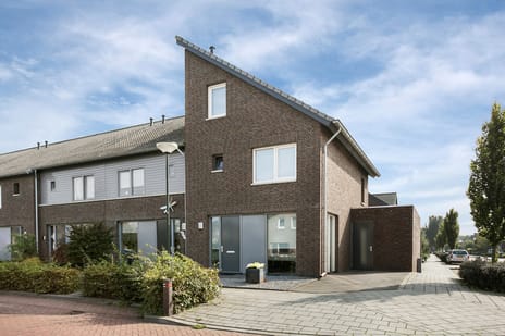 Pinksterbloem thumbnail